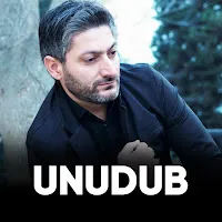 Vuqar Seda — Unudub — обложка